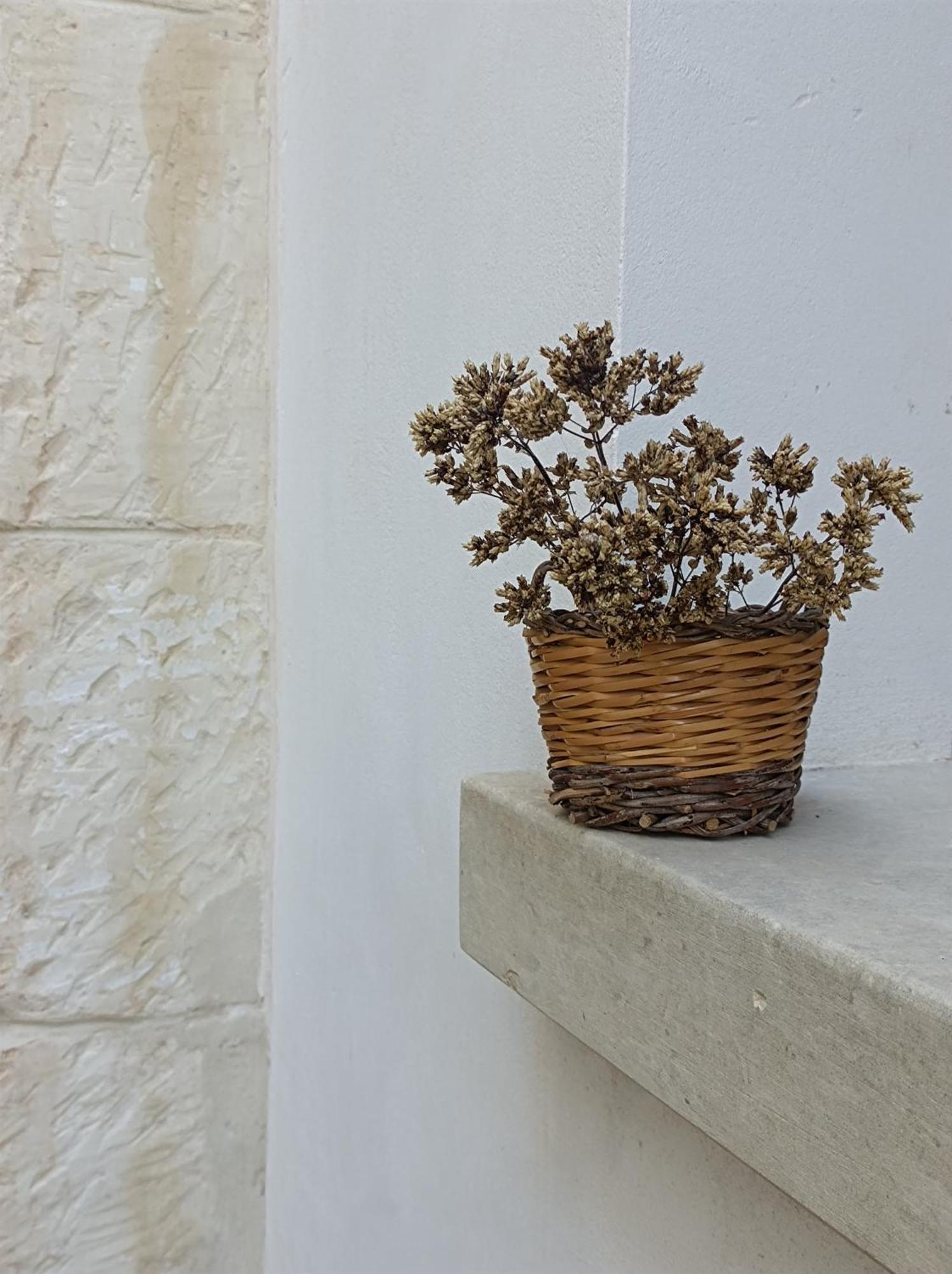 Camera Origano In Salento Мартано Екстер'єр фото